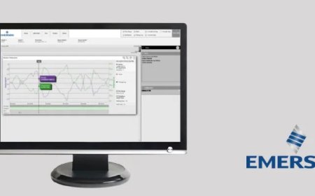Micro Motion Processviz