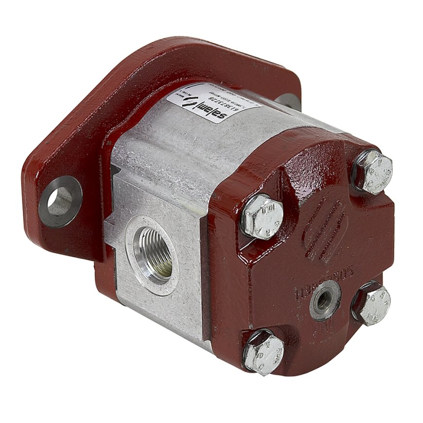 Salami hydraulic motor