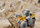 Two robust Liebherr wheel loaders.