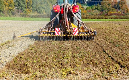 CLAAS DISCO 9700 RC AUTO SWATHER: Tailored for abundant forage and careful conditioning