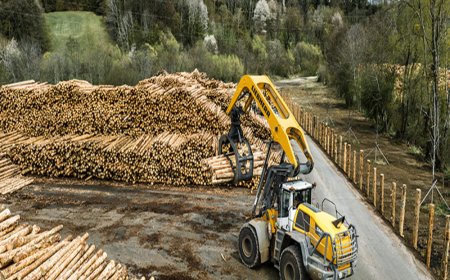 Rubner Holzindustrie has made the decision to purchase the L 580 LogHandler XPower®