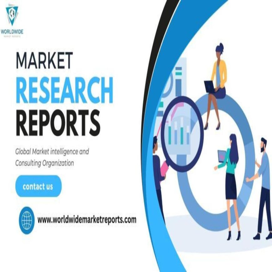 Strategic Business Planning and Growth Analysis for the Pharmaceutical Processing Seals Market in 2023