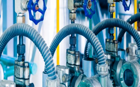 Report and Forecast for the Hydraulic Hose Market's Size, Share, Trends, Growth, and Key Players from 2023 to 2028 on a Global Scale